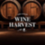 Wine Harvest in the Lake Chelan Wine Valley